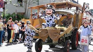 <p>Beim Festzug zum Jubiläum lässt Edingen-Neckarhausen die Kuh fliegen.</p>