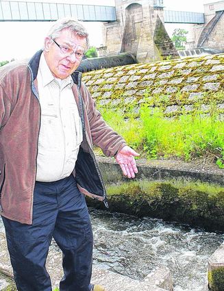 <p>Der ehrenamtliche Fischereiaufseher Dieter Herold zeigt an der Ladenburger Fischtreppe am Stauwehr, wo und wie er den Maifisch entdeckt hat, der bundesweit für Schlagzeilen sorgt. Typisch ist der dunkle Fleck hinter dem Kiemendeckel. Leonard (13) von der Ilvesheimer "Biberbande" präsentiert ein totes Exemplar.</p>
