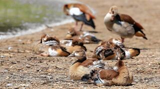 <p>Bild: Prosswitz</p>