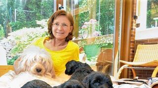 <p>Fünfeinhalb Wochen sind die Welpen von Wilma nun alt - und alle haben schon einen künftigen Besitzer. Rosa-Maria Gerlach aus Schriesheim-Altenbach ist eine von nur elf anerkannten deutschen Züchtern Portugiesischer Wasserhunde.</p>