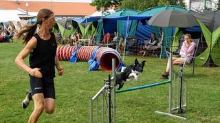<p>Heimspiel: Alexander Nicht vom Hundesportverein (HSV) Edingen gewann mit seinem Hund "Mojito" das Agility-Turnier in der Klasse A1 Large.</p>