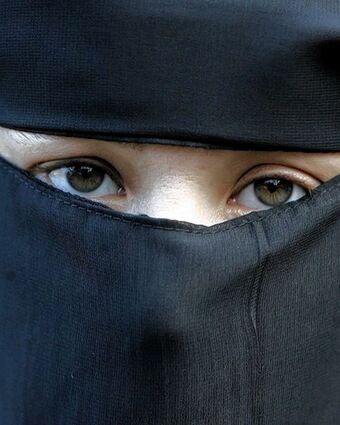 <p>Frauen in Offenbach (o.), Kabul (Mitte) und Den Haag (u.) tragen Burka. Ist man islamophob, wenn man sich gegen eine Vollverschleierung ausspricht? Der Medienwissenschaftler Jochen Hörisch plädiert für eine öffentliche Auseinadersetzung über das islamistische Dschihad-Problem.</p>