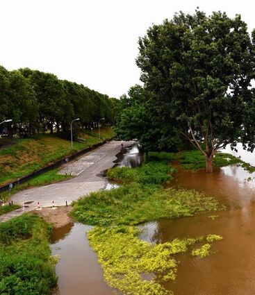 <p>Auch in Mannheim ist der Neckar weit über seine Ufer getreten und hat den Parkplatz vor dem Klinikum überschwemmt.</p>