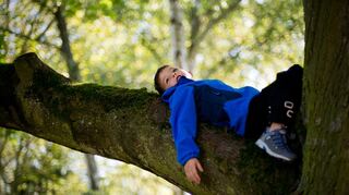 <p>Leonard ist in Düsseldorf auf einen Baum geklettert. Nachdenklich liegt er auf einem Ast. "Kindern fällt der Zugang zur Natur leichter als Erwachsenen", sagt Diplom-Biologe und Waldpädagoge Frank Hoffmann.</p>