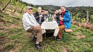 <p>Schriesheims Bürgermeister Hansjörg Höfer (r.) mit vielen freiwilligen Halfern beim Vesper nach der Lese am Madonnenberg.</p>
