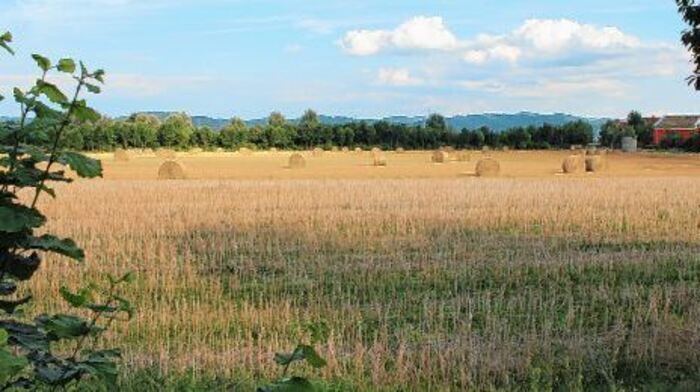 Stadtspitze baut auf Doppel-Erweiterung - Viernheim ...