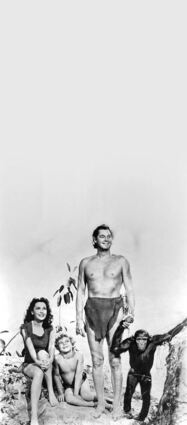 <p>Johnny Weissmüller als Tarzan, Maureen O'Sullivan als Jane, Johnny Sheffield als Boy und der Affe Cheetah in einer Filmszene. Vom Sohn mittelloser Banater Schwaben wurde Weissmüller zum Ausnahmesportler und erfolgreichen Tarzan-Darsteller.</p>