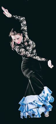 <p>1988 hat Silke Beck ihre Leidenschaft für Flamenco entdeckt. Inzwischen ist sie Dozentin an der Tanzakademie und seit 15 Jahren bei der Compania Flamenco Solera.</p>