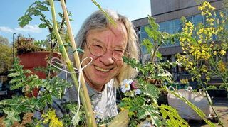 <p>Norbert Hufler ist ein "Hack-Gärtner" der ersten Stunde und täglich dort. Er kann es kaum erwarten, bis seine Wildtomate Früchte trägt.</p>