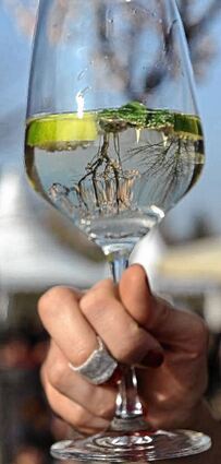 <p>Genuss pur verspricht die WeinWanderung in Weisenheim am Berg an diesem Wochenende. Winzer, Gastronomen und Vereine haben viele Schmankerl vorbereitet.</p>
