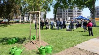 <p>Erster Spatenstich und Pflanzaktion auf dem Hanns-Glückstein-Park: Alle Bäume, die jetzt noch stehen, sollen laut Oberbürgermeister Peter Kurz trotz Neugestaltung erhalten bleiben.</p>