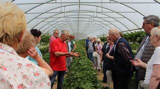 <p>Gemüsebauer Karl-Heinz Schmidt (Vierter v. l.) erklärt den Lesern dieser Zeitung alles über die süße Erdbeersorte "Clery".</p>