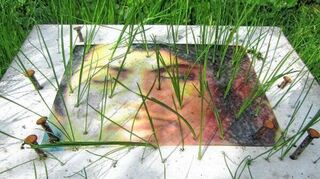 Der Garten dient Günter Karl auch als Atelier. Durch Bilder ließ er Gras sprießen - Symbol für die Kraft des Lebens.