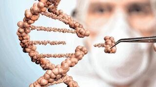 <p>Ist die Genomschneiderei bald Alltag? Das sogenannte CRISPR/Cas9-System verändert derzeit die Gentechnik von Grund auf.</p>