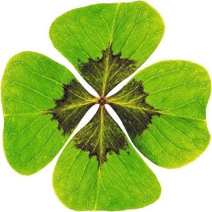 Clover leaf - happiness