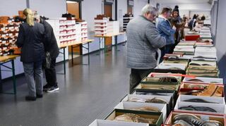 Zwischen 80 000 und 100 000 Paar Schuhe wurden laut Veranstalter bei der Al Bundy Schuhbörse in der Eberthalle angeboten.