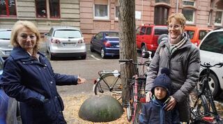 Mehr als zehn Zentimeter dick liegen die leuchtend gelben und stinkenden Früchte unter den Bäumen: das ärgert Jutta Geil-Bierschenk (r. mit Sohn) und SPD-Stadträtin Helen Heberer.