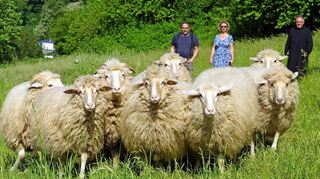 Die ersten Neuankömmlinge gewöhnen sich gerade an die Natur um Stift Neuburg. Im Hintergrund (v.l.) Mathias Braun, Claudia Rhein und Prior Ambrosius.