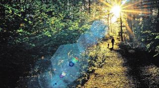 Ist alles zu viel, zu schnell, zu anstrengend? Viele Menschen zieht es in die Natur, um Entspannung zu finden – und vielleicht auch zu sich selbst.