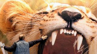 <p>Ein Standbetreiber streicht in der Afrika-Halle auf der ITB in Berlin eine Fototapete mit einem gähnenden Löwen glatt.</p>