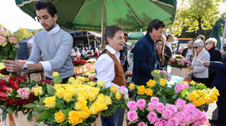 Bei den Ex-Prinzen des Feuerio gibt es Rosen in zahlreichen Farben.