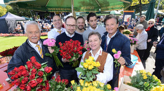 Bei den Ex-Prinzen des Feuerio gibt es Rosen in zahlreichen Farben.