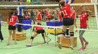 Bei ihrer „Sportschau“ präsentierten sich alle Abteilungen der Ladenburger Sport-Vereinigung in der Lobdengauhalle. Einer der Höhepunkte: die Showgruppe Rope Twisters (o. r.).