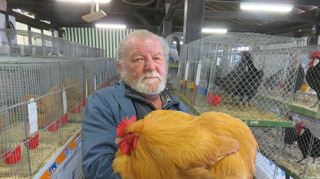 Vereinsmitglied Adolf Grünwald zeigt stolz sein Cochin-Huhn.
