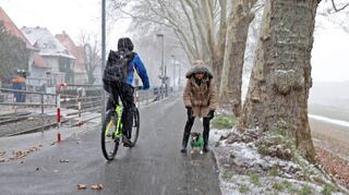 Auf dem Rad- und Fußweg auf dem Neckardamm in Neuostheim kann es schon mal eng werden. So wie gestern Nachmittag, als Angela Schray während des einsetzenden Schneefalls dort mit ihrem Hund unterwegs war.