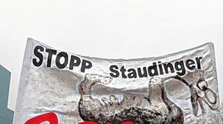 <p>Gegner fordern die Stilllegung des Kohlekraftwerks Staudinger.</p>