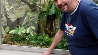Tierpfleger John Peck-Wittner vor dem Schlangen-Terrarium.