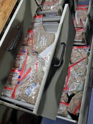 Marvin Kuhn hat Steinschutt von jedem abgerissenen Gebäude aufgehoben.