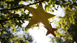 Die Sterne am Baum stehen für verstorbene Kinder – so genannte Sternenkinder. Das Symbol soll Eltern bei ihrer Trauer helfen.