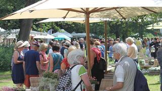 Bäume und Schirme spenden Schatten: Schon der erste Tag der „Gartenlust“ bei Huben lockt die Besucher in Scharen.