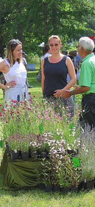 Die „Gartenlust“ bietet auch ein schönes Umfeld für Gespräche.