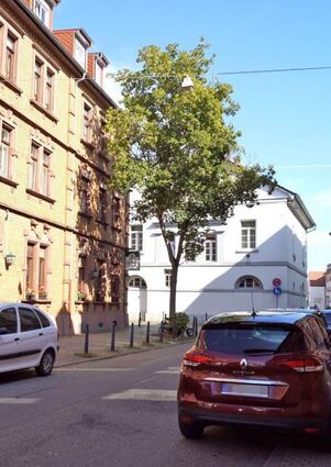 Blick von der Oberen Riedstraße auf das Käfertaler Rathaus.