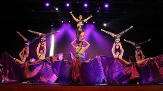 Kraft, Eleganz und Beweglichkeit kombiniert die Showturngruppe Exotica von der SpVgg Neckarelz.