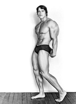 Mit ihm begann die Muskelmanie: Arnold Schwarzenegger, abgebildet 1976 von Starfotograf Robert Mapplethorpe.