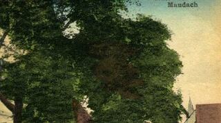 Eine Grußkarte aus Maudach in den 1920er Jahren.