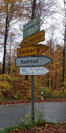 Das einzige Hinweisschild auf den Alten Kohlhof, das noch nicht abmontiert wurde. Es hängt an der Abzweigung Kohlhof, Waldhilsbach, Königstuhl.
