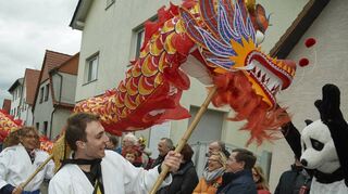 Japanischer Drache mitten im närrischen Lindwurm: Der Judoclub Samurai präsentiert sich wieder farbenfroh.