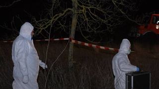 Unmittelbar nach der Tat im März 2020 suchen Kriminaltechniker der Polizei den Tatort am Willersinnweiher nach Spuren ab.