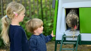 Amelie (links) und Louie beobachten ein Miethuhn beim Verlassen des Stalls. Drei Wochen wohnten die Hühner im Garten der Familie Rassek am Stadtrand von Kassel.