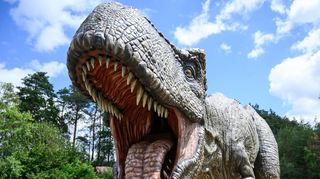 Welche Geräusche ein Tyrannosaurus rex gemacht hat, das wissen die Forscher nicht endgültig. Der Raubsaurier hat auf der Jagd aber nicht gebrüllt, wie es in Filmen wie Jurassic Park gezeigt wird.