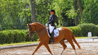 <p>Die Reiter vom gastgebenden Verein sicherten sich in verschiedenen Prüfungen vordere Plätze. Im Bild Simone Schuler auf ihrer Stute "Weil ich ein Mädchen bin", die in der L-Dressur auf Kandare den zweiten Platz belegte.</p>