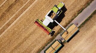 Extensive Landwirtschaft wie hier in Dormagen (NRW) gilt als eine Ursache für das Insektensterben – ein Projekt in der Südpfalz soll zeigen, wie es anders geht.