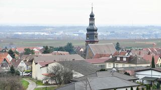 Kallstadt: Blick auf den Ortskern mit dem Kirchturm der Salvatorkirche.
