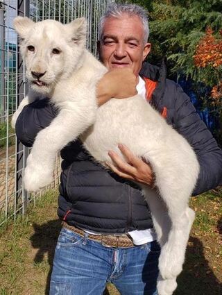 Leas neuer Pfleger Paco nimmt die 50 Kilo schwere Raubkatze noch auf den Arm.