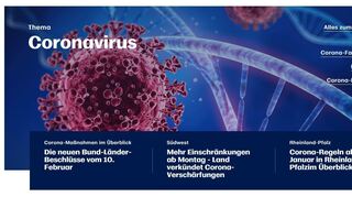 So werden Dossiers im neuen Portal dargestellt.