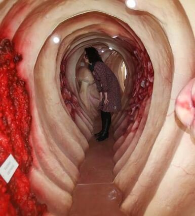 Mit begehbaren Modellen wird die Darmkrebsvorsorge beworben.